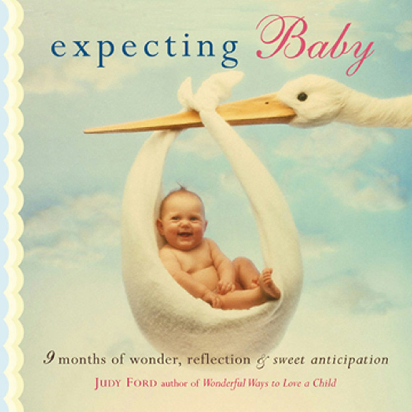 Book cover image for Expecting Baby ISBN: 9781573247146